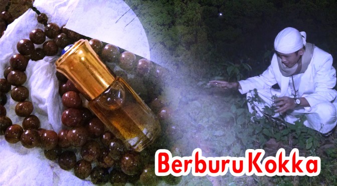 Berburu Cindramata Kokka